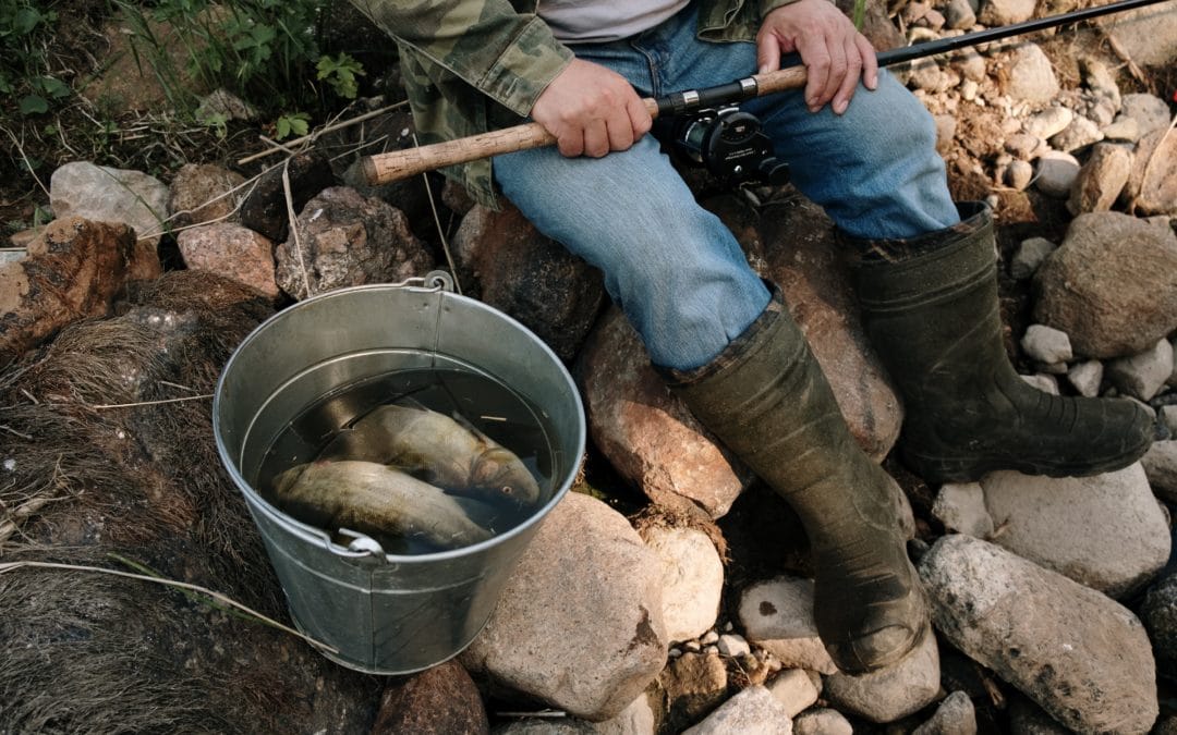 Home 5 Attracting Ideal Clients, Part 2: Fishing For Clients